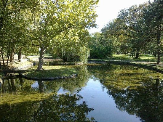 Catedrala Sfântul Sava